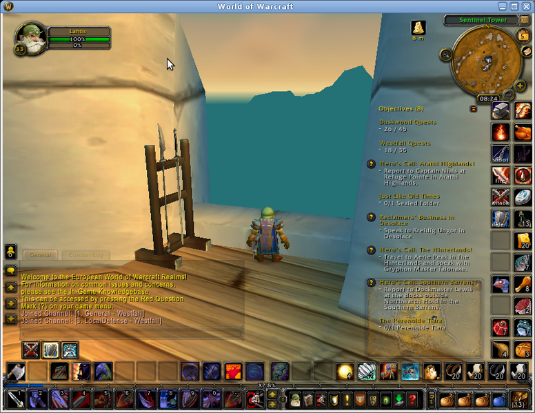 Tiedosto:World of Warcraft-ingame.png